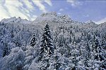 Girovagando in conca d Oltre il Colle e sui monti del M.A.G.A. (Menna, Arera, Grem, Alben)...alcuni scatti - FOTOGALLERY